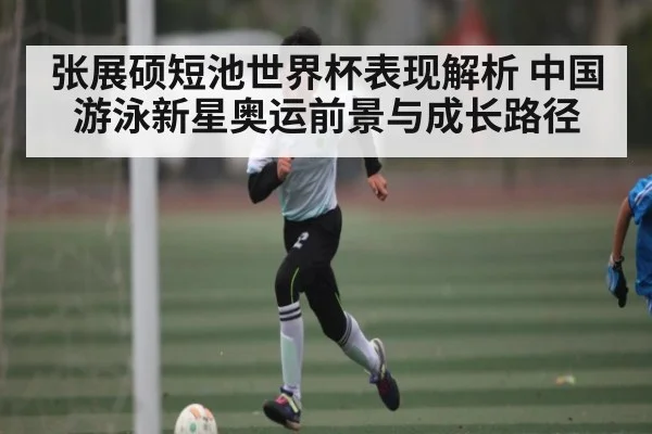 张展硕短池世界杯表现解析 中国游泳新星奥运前景与成长路径（c7c7）